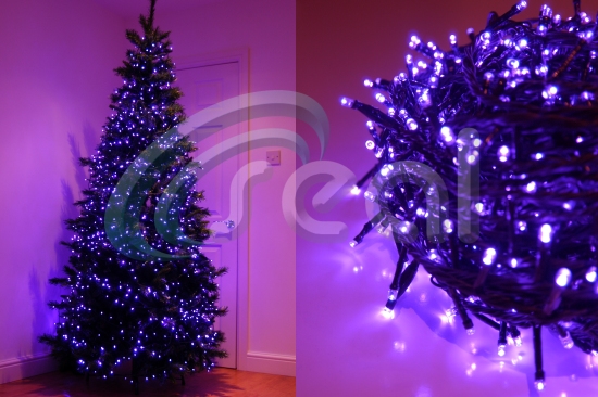 LED Christmas Lights - UV/Purple