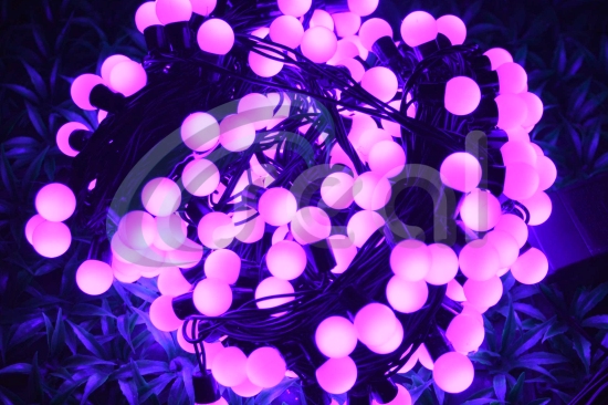 LED Cherry Lights - UV/Purple