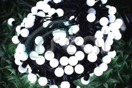 LED Cherry Lights - White