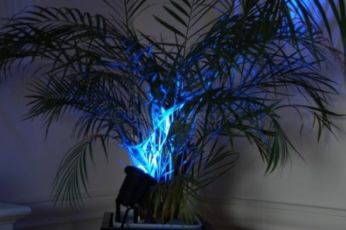 2 x Garden Spot Light - Blue