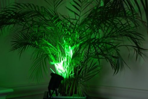 2 x Garden Spot Light - Green