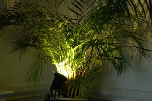 2 x Garden Spot Light - Warm White
